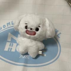 ジョンウ nct127 イリチル ぬいぐるみ 10cmのサムネイル