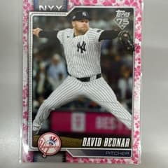 Topps David Bednar 98/99 MLB Cardのサムネイル