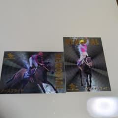 競馬ノースフライト オサイチジョージMEMORIALカード2枚セット送料込み貴重