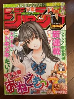 週刊少年ジャンプ 2009年32号 あねどきっ新連載号 いちご100% - メルカリ