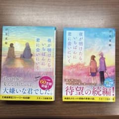 夜が明けたら、いちばんに君に会いにいく 文庫版 汐見夏衛のサムネイル