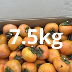 渋柿 7.5kg 干し柿用に枝付き 長野県産 無農薬 種無し柿 - メルカリ