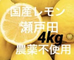 35国産瀬戸田レモン4kg - メルカリ