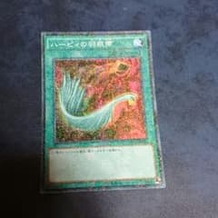 ハーピィの羽根箒のサムネイル
