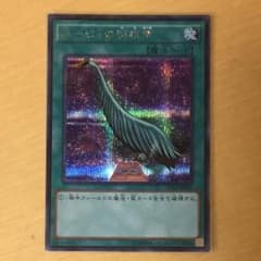 ハーピィの羽根箒のサムネイル