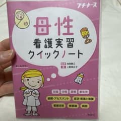 母性看護実習クイックノートのサムネイル