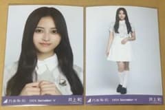 m52914356830_1.jpg?1730799359