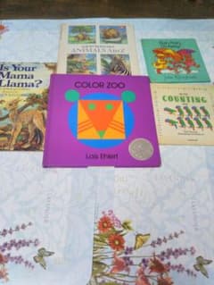 5冊、親子一緒に読むkids英語絵本のサムネイル