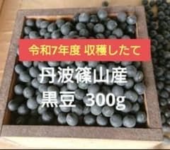 令和7年度 収穫 丹波篠山産 黒豆 300gのサムネイル