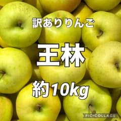 訳あり　りんご　王林　家庭用約10kg 商品説明お読みくださいのサムネイル