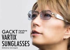 トリプルH　GACKT サングラス VARTIX VS-N-01 トリプルH様専用 GACKT サングラス VARTIX VS-N-01 - メルカリ