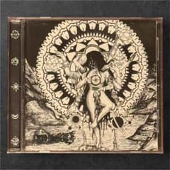 CD Into Sickness / Reasons to Grind 2のサムネイル