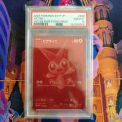 m52937567499_1.jpg?1755141441