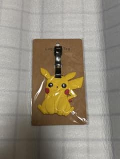 피카츄 러기지 태그