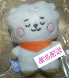 BT21 봉제인형 탄톤 네톤 RJ