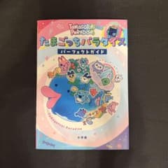 Wa様 リクエスト 2点 まとめ商品のサムネイル