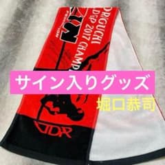 RIZIN 라이진 격투기 호리구치 쿄지 호리구치 선수 머플러 타월 타월