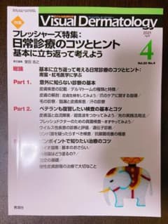 Visual D. 2021年4月号 Vol.20 No.4のサムネイル