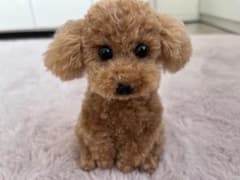 トイプードル編みぐるみ（植毛） 犬 【お座りポーズ】レッド - メルカリ