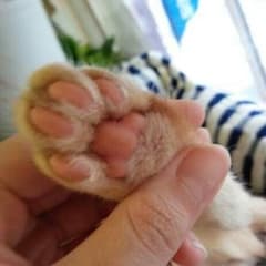 yu_u様専用♪のサムネイル