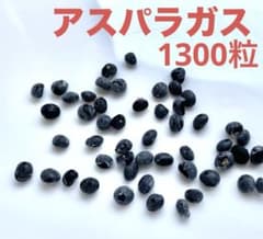 kican様 リクエスト 2点 まとめ商品のサムネイル