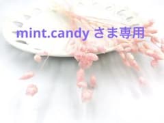 mint.candy 様専用ページのサムネイル