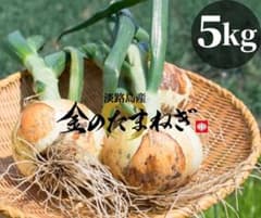 【残り僅か】淡路島産 玉ねぎ 5kgのサムネイル