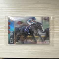 【競馬】メモリアルカード等セット　ケース付き 競馬】メモリアルカード等セット ケース付き