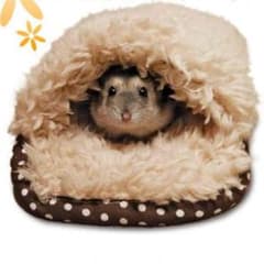 ハムスターのベッドのサムネイル