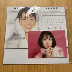 菅井友香 カレンダー サイン入り 2024 - メルカリ