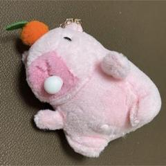 ZB1 ゼベワン パクゴヌク おそろい カピバラ ぬいぐるみ