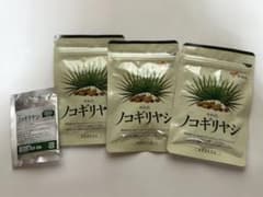 ノコギリヤシ　やわたのサムネイル
