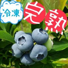 完熟冷凍ブルーベリー【M〜2Lミックス】1kg - メルカリ