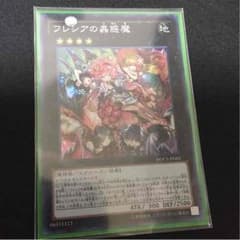 フレシアの蟲惑魔のサムネイル