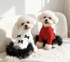 犬服 リボン付きプリンセススカート 白赤のサムネイル
