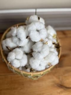 綿花 コットンフラワー ホワイト30個のサムネイル