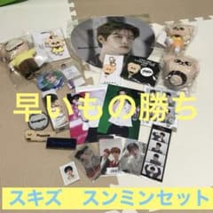 スキズ　スンミンセット　スンチャン　スンモ　わんちゃん　詰め合わせ m53022188429_1.jpg?1702779072