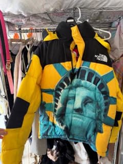 THE NORTH FACE 自由の女神 ダウンジャケットのサムネイル