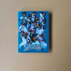 大谷翔平 北海道日本ハムファイターズ トレカファイル 非売品 - メルカリ