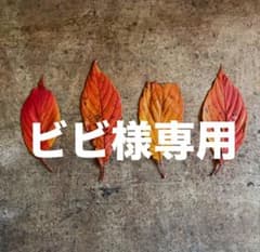 ビビ様 リクエスト 6点 まとめ商品 ビビ様 リクエスト 4点 まとめ商品 - メルカリ