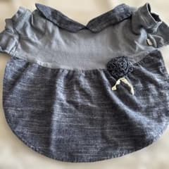 犬の服のサムネイル