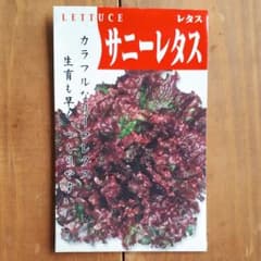 固定種　サニーレタス　種のサムネイル