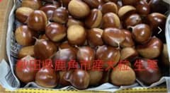 秋田県鹿角市産天然無農薬大きめ栗のサムネイル
