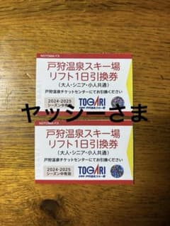 戸狩温泉スキー場 リフト1日券　２枚のサムネイル