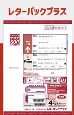 レターパックプラス 600【200枚】【折り曲げずに発送】【sai】 レターパックプラス 600【200枚】【折り曲げずに発送】【sai