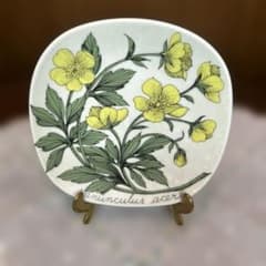ARABIAエステリ・トムラ ボタニカRanunculus acris深山金鳳花 - メルカリ