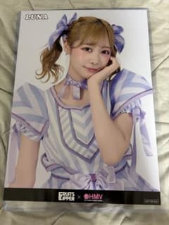 나카가와 루나 의상전 포스터 hmv a4 사이즈