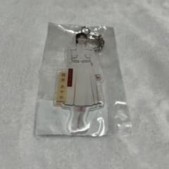 노기자카46 츠츠이 아야메 아크릴 키홀더 보도교
