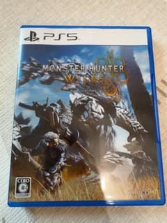 몬스터 헌터 와일즈 PS5 소프트