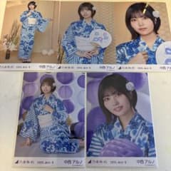 m53121946258_1.jpg?1751701924